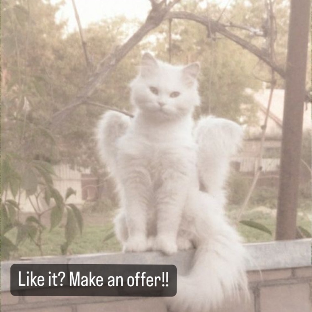 Like something in my closet? Make an offer!